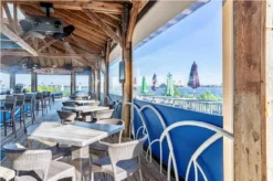 Genius Motorized Vinyl Screens - Retractable Window Screens for All Openings