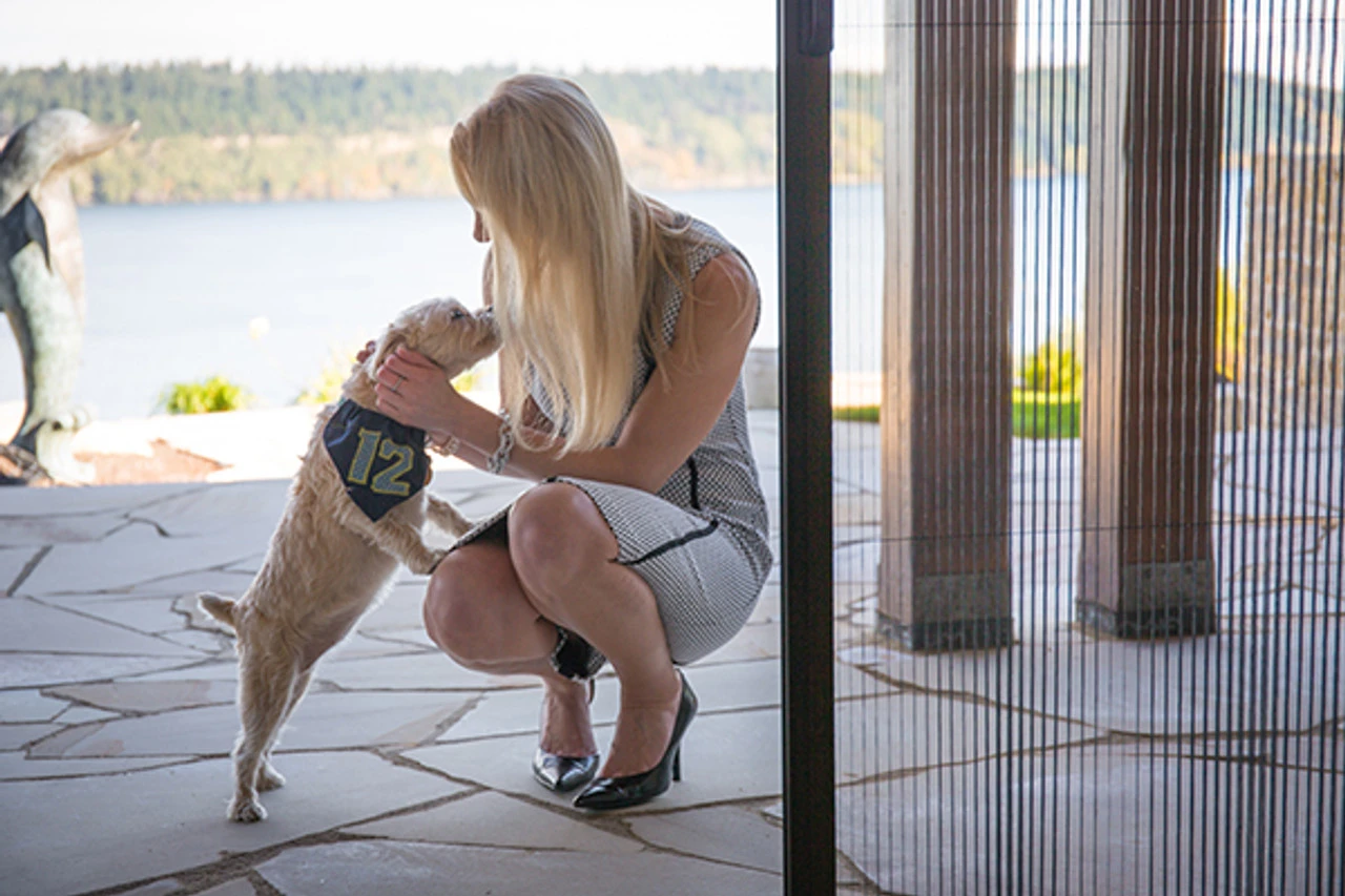 Sheer Classic Single Panel Retractable Screen - Large Openings - Image 2